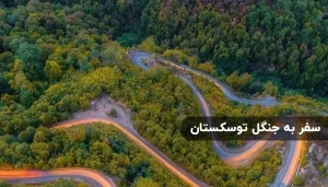 سفر به جنگل توسکستان