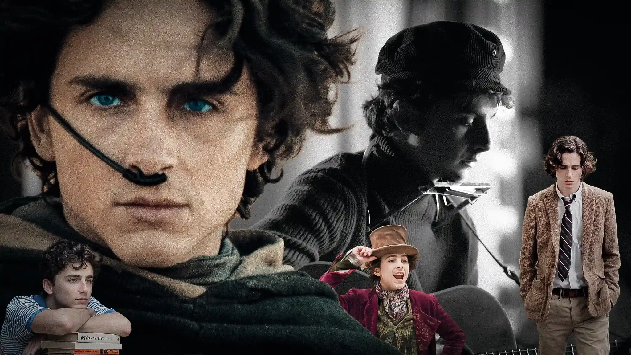 ۵ فیلم برتر تیموتی شالامی