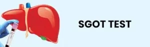 معنی SGOT آزمایش خون