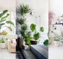 7 روش برای نگهداری گیاهان آپارتمانی