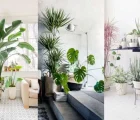 7 روش برای نگهداری گیاهان آپارتمانی