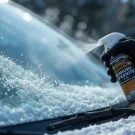 یخ زدن برف پاک کن