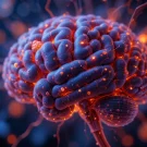 علائم بیماری ام اس