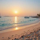 راهنمای جامع سفر به قشم،همه چیز در این مقاله!