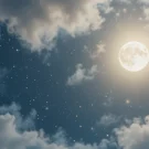 زکات فطریه ۱۴۰۴