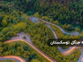 سفر به جنگل توسکستان