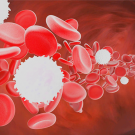 معنی WBC در آزمایش خون