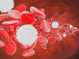 معنی WBC در آزمایش خون